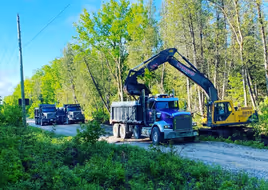 Excavator by trees